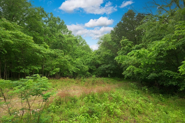 2 Angels Cove Ln, Lebanon, TN 37087