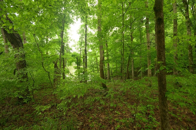2 Angels Cove Ln, Lebanon, TN 37087