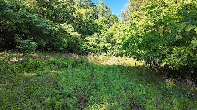 2 Angels Cove Ln, Lebanon, TN 37087