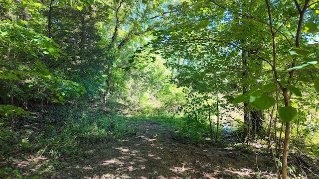 2 Angels Cove Ln, Lebanon, TN 37087