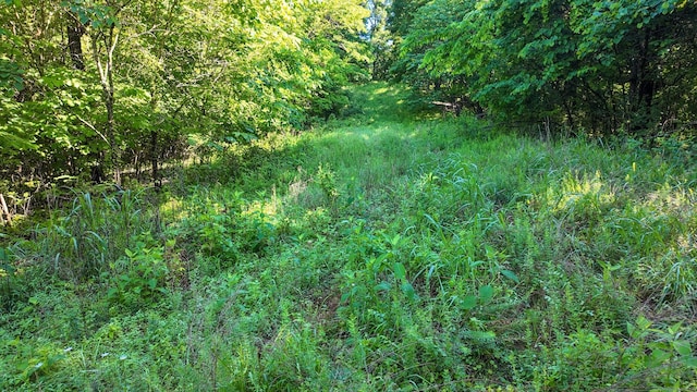 2 Angels Cove Ln, Lebanon, TN 37087