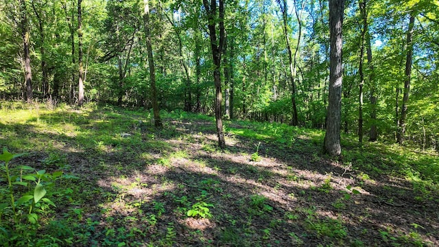 2 Angels Cove Ln, Lebanon, TN 37087
