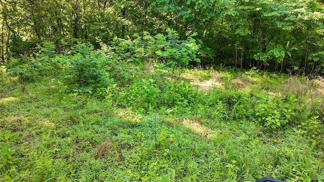 2 Angels Cove Ln, Lebanon, TN 37087