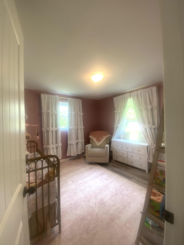 148 Shawna Ln, Hillsboro, TN 37342 - view of bedroom