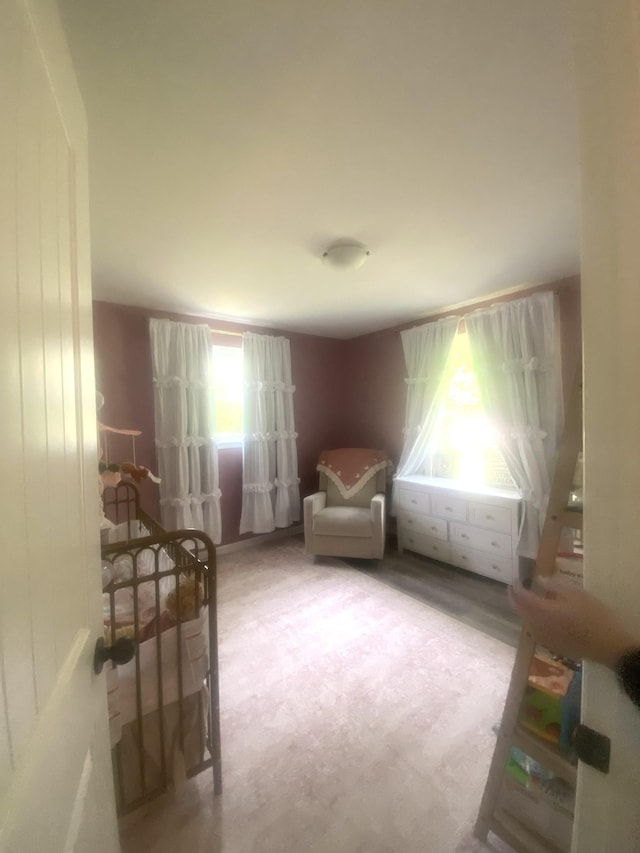148 Shawna Ln, Hillsboro, TN 37342 - view of living area