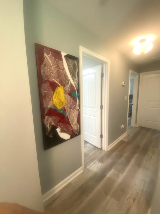 148 Shawna Ln, Hillsboro, TN 37342 - corridor featuring wood finished floors and baseboards