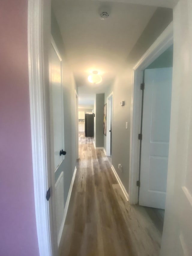 148 Shawna Ln, Hillsboro, TN 37342 - hallway with wood finished floors and baseboards