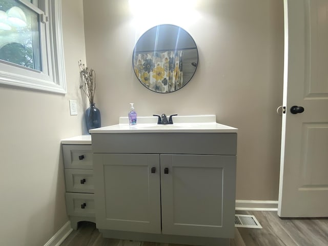 148 Shawna Ln, Hillsboro, TN 37342 - bathroom featuring wood finished floors, vanity, and baseboards