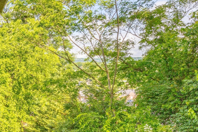 3913 Pickering Ave, Chattanooga, TN 37415 - view of nature