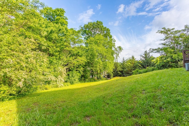 3913 Pickering Ave, Chattanooga, TN 37415 - view of grassy yard