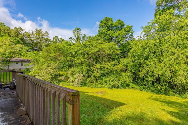 3913 Pickering Ave, Chattanooga, TN 37415 - view of grassy yard with a view of trees