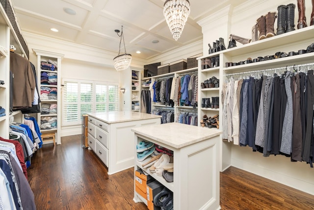109 Allenhurst Cir, Franklin, TN 37067 - walk in closet with coffered ceiling, dark wood finished floors, a chandelier, and beamed ceiling