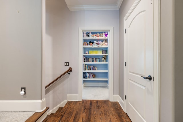 109 Allenhurst Cir, Franklin, TN 37067 - view of storage area