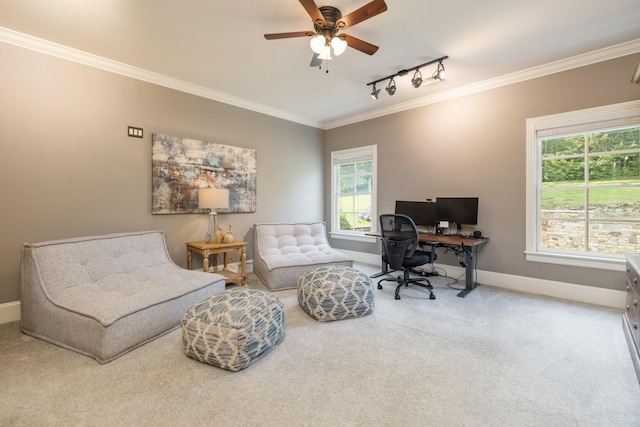 109 Allenhurst Cir, Franklin, TN 37067 - carpeted home office with rail lighting, crown molding, a ceiling fan, and baseboards