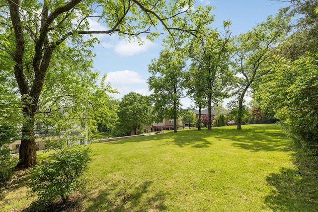 109 Allenhurst Cir, Franklin, TN 37067 - view of green lawn
