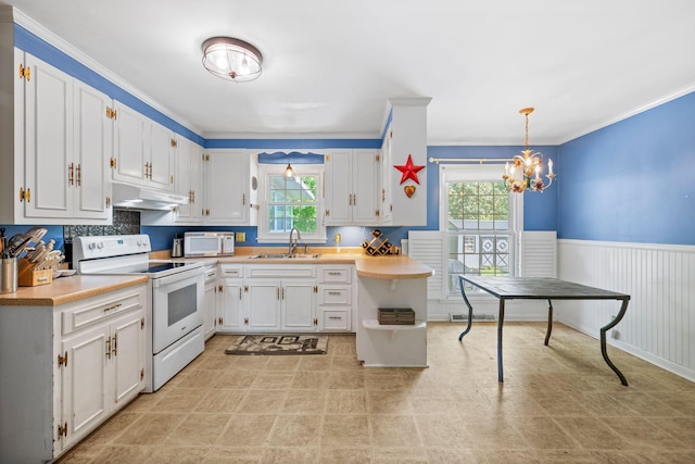 1403 Manor Rd, Columbia, TN 38401 - kitchen with white appliances, a sink, plenty of natural light, under cabinet range hood, and ornamental molding