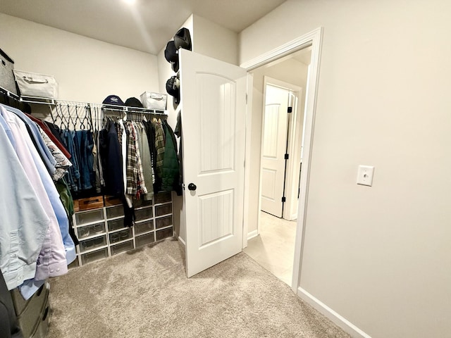 4524 Hoboken Way, Murfreesboro, TN 37128 - walk in closet featuring carpet