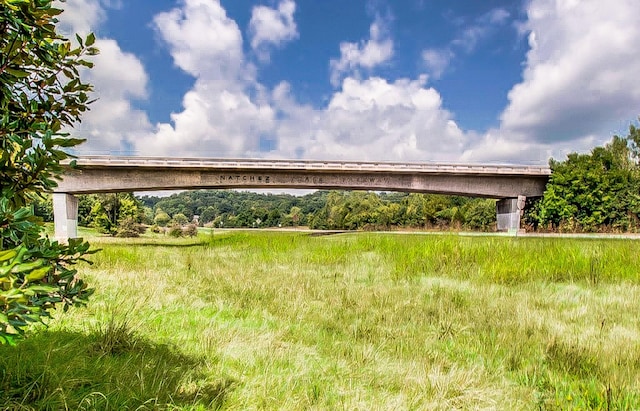 6716 Autumnwood Dr, Nashville, TN 37221 - view of back of property