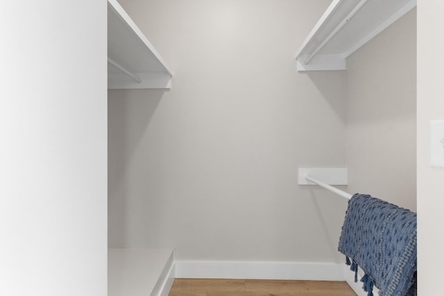 178 Charleston Ave, Pleasant View, TN 37146 - spacious closet with light wood-style flooring