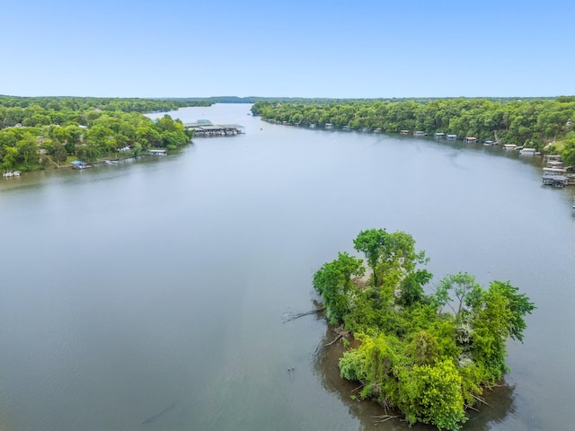 633 Bay Point Dr, Gallatin, TN 37066 - photo 85