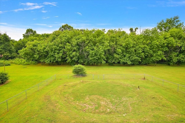 2129 Hollandale Cir, Columbia, TN 38401 - view of yard with a rural view