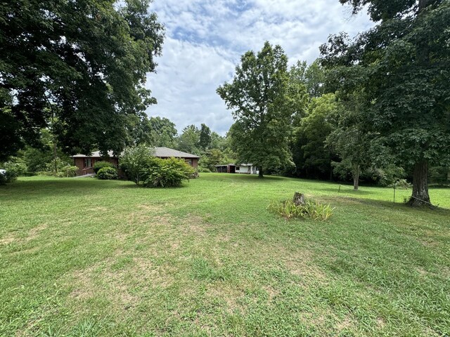 2168 Jefferson Rd, Smithville, TN 37166 - view of green lawn
