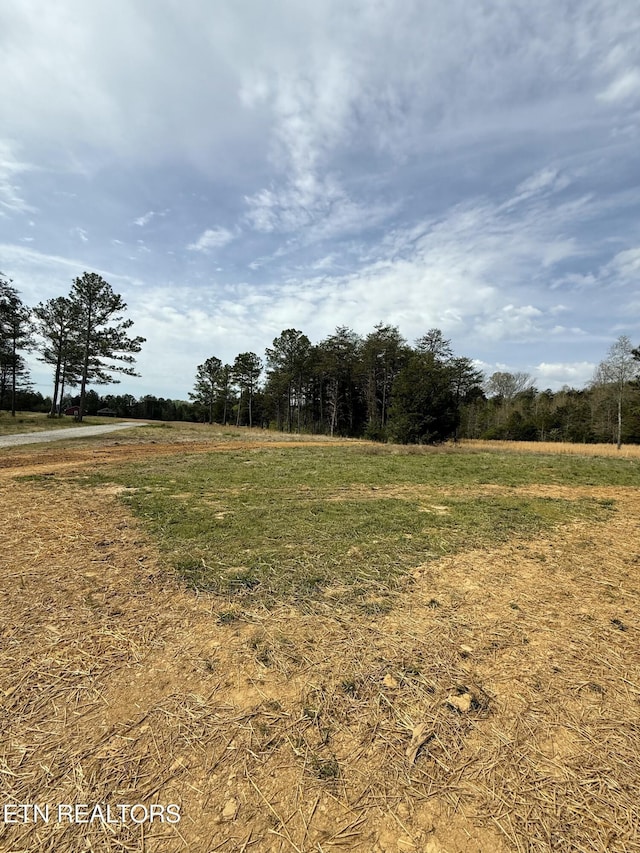 222 Ten Mile Ln, Ten Mile, TN 37880 - view of yard featuring a rural view