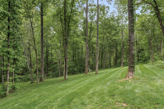 7361 Liberty Rd, Fairview, TN 37062 - view of grassy yard featuring a view of trees