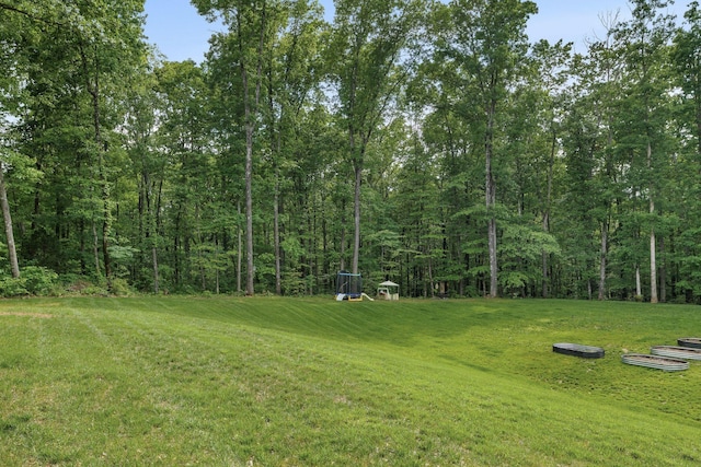 7361 Liberty Rd, Fairview, TN 37062 - view of green lawn featuring a forest view