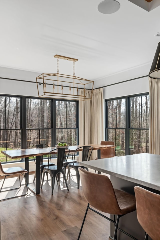 7361 Liberty Rd, Fairview, TN 37062 - dining room featuring plenty of natural light, wood finished floors, and a chandelier