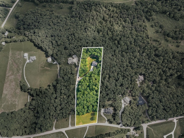 7361 Liberty Rd, Fairview, TN 37062 - aerial view of property and surrounding area with property boundaries highlighted