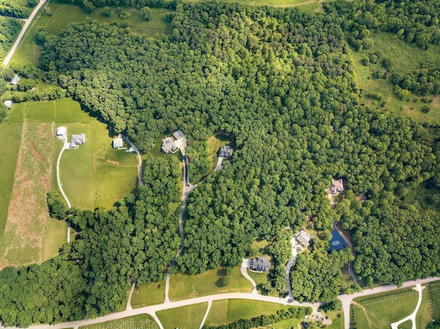 7361 Liberty Rd, Fairview, TN 37062 - aerial overview of property's location featuring a forest