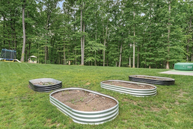7361 Liberty Rd, Fairview, TN 37062 - view of grassy yard featuring a trampoline