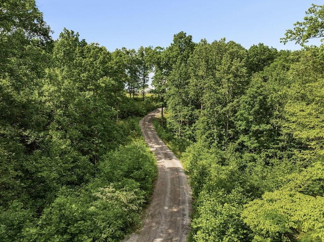 7361 Liberty Rd, Fairview, TN 37062 - view of road with a wooded view
