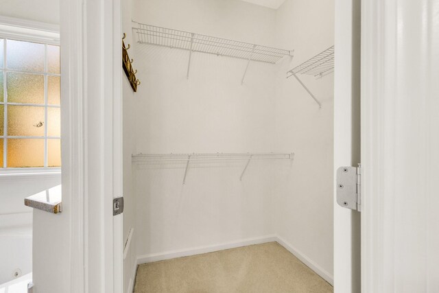 3015 Carpenters Pass, Spring Hill, TN 37174 - walk in closet with light colored carpet