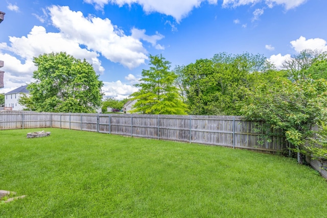 3015 Carpenters Pass, Spring Hill, TN 37174 - view of yard