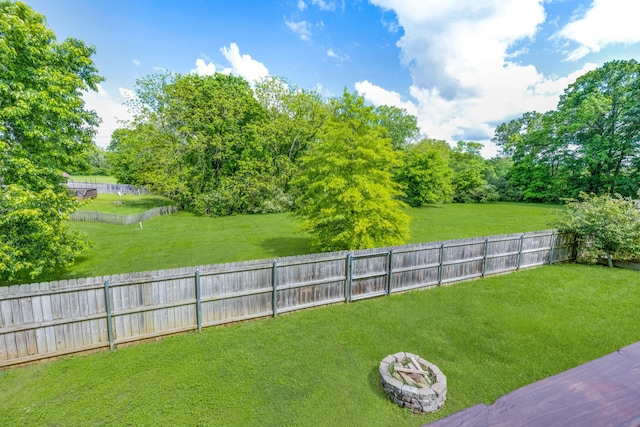 3015 Carpenters Pass, Spring Hill, TN 37174 - view of yard