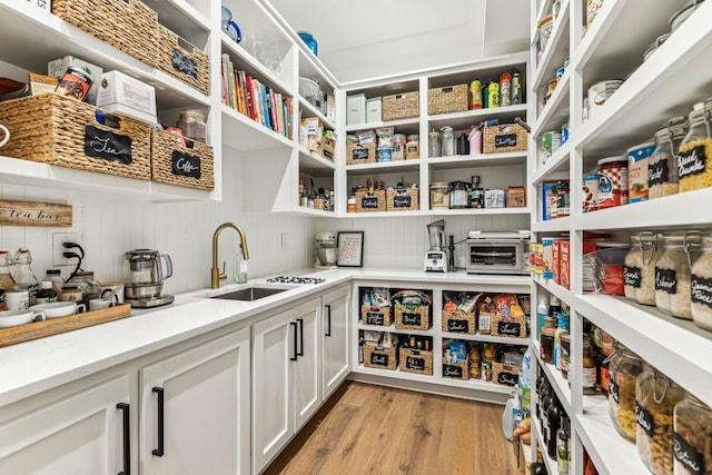 5012 Toll Road Ct, Thompsons Station, TN 37179 - pantry featuring a sink