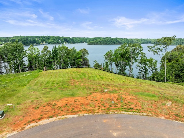 0 Fanning Bend Dr, Winchester, TN 37398 - photo 2