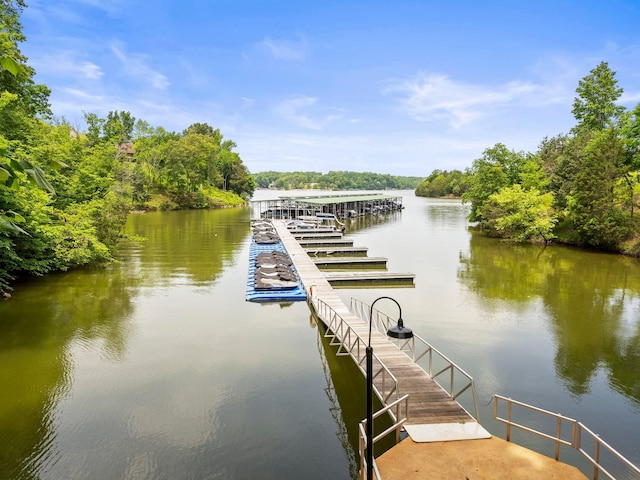 0 Fanning Bend Dr, Winchester, TN 37398 - photo 19