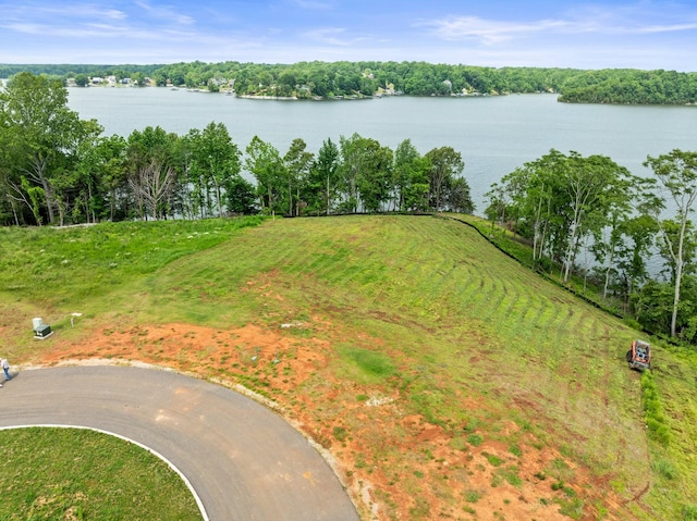 0 Fanning Bend Dr, Winchester, TN 37398 - photo 5