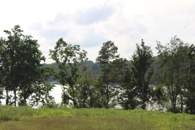 0 Fanning Bend Dr, Winchester, TN 37398 - photo 24