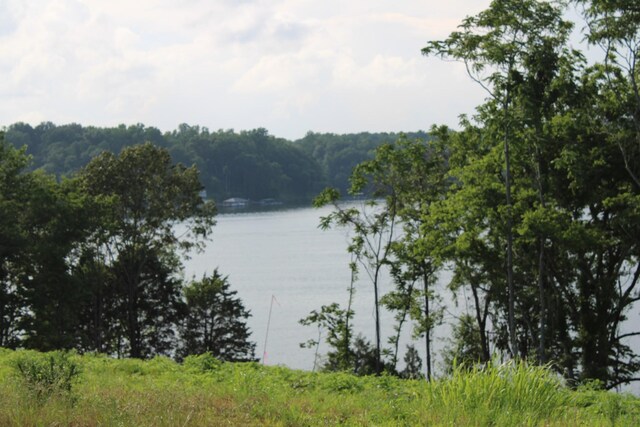 0 Fanning Bend Dr, Winchester, TN 37398 - photo 22