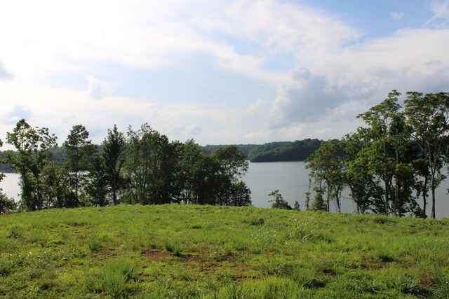 0 Fanning Bend Dr, Winchester, TN 37398 - photo 26