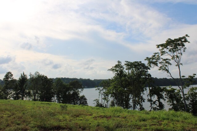 0 Fanning Bend Dr, Winchester, TN 37398 - photo 36