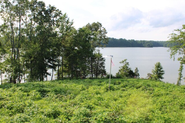 0 Fanning Bend Dr, Winchester, TN 37398 - photo 32