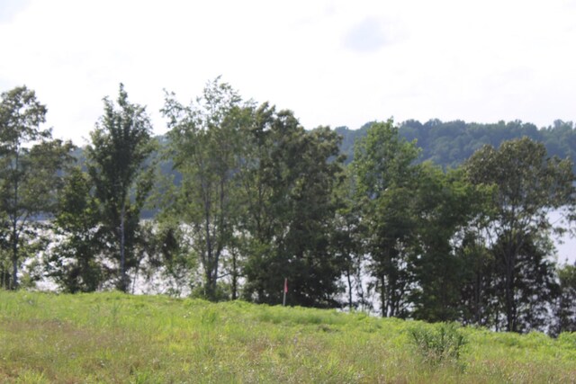 0 Fanning Bend Dr, Winchester, TN 37398 - photo 23