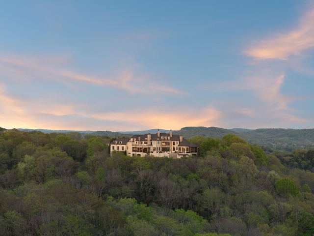 513 King Richards Ct, Franklin, TN 37067 - mountain view with a forest