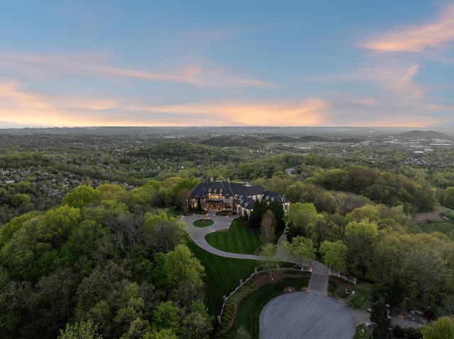 513 King Richards Ct, Franklin, TN 37067 - view from above of property featuring a heavily wooded area
