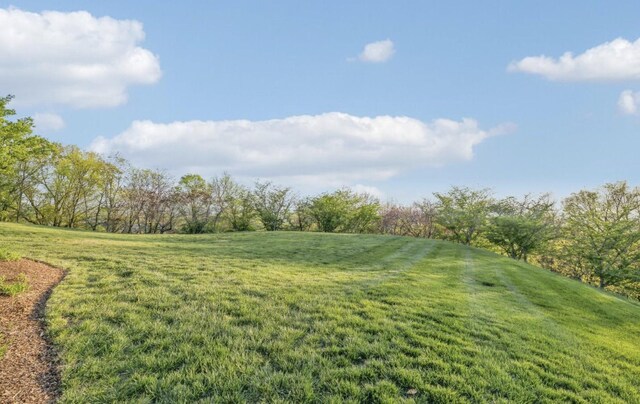 513 King Richards Ct, Franklin, TN 37067 - view of grassy yard